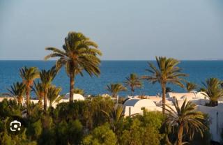 Bungalow de charme - Midoun - 3