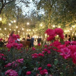 Agriturismo La Caffettiera - 7