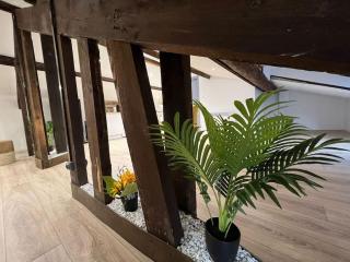 Kiss Cool - Loft en centre ville - Saint-Dizier - 5