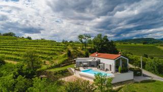 Larya House - Dobrovo - 0