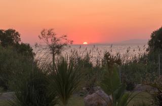 Panaxia Villas - Theologos - 5
