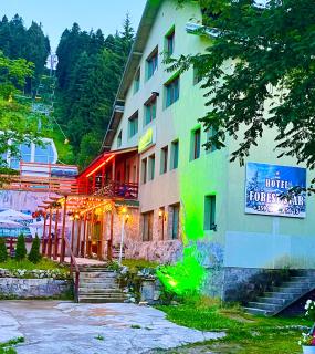 Hotel Forest Star on the Ski Slope - Borovets - 0