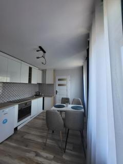 SKY BLUE LOQUS Studia i Apartmenty - Płock - 8