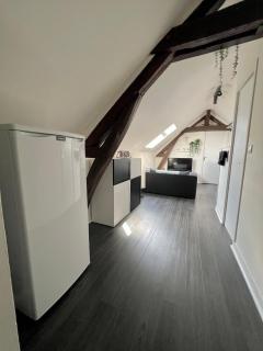 Bel appartement lumineux 35m2, Bord De Loire - 2