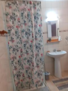 Spacieux T2 en rez-de-jardin avec grande terrasse - 2