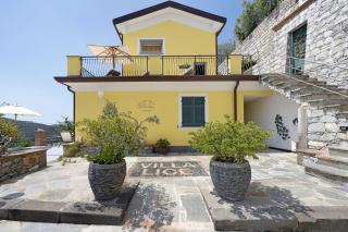 Villa Lice - Vigneto - Casarza Ligure - 9