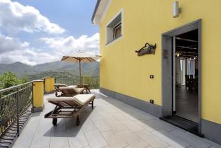 Villa Lice - Vigneto - Casarza Ligure - 8