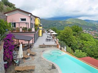 Villa Lice - Vigneto - Casarza Ligure - 0