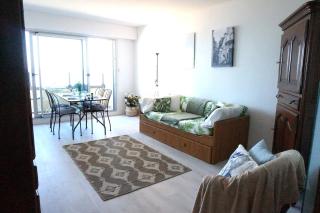 BELLE VIE vue dominante mer et plage - Appartement 2 à 4 personnes - Cabourg - 3