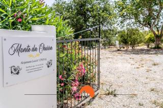 #179 Monte das Churras 2 by Home Holidays - Albufeira - 8