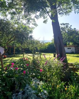 GLAMPING RANCHO ALEGRE - Merlo - 3