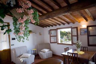 Hotel Barsalini - SantʼAndrea - 8