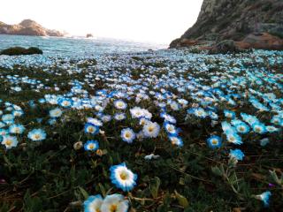 Ven y disfruta de una linda y tranquila playa, te esperamos en cabaña5losmolles! - Los Molles - 2