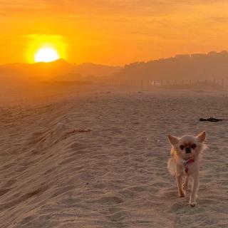 Ven y disfruta de una linda y tranquila playa, te esperamos en cabaña5losmolles! - Los Molles - 1