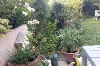 Hâvre de paix dans un écrin de verdure - Aviñón - 5