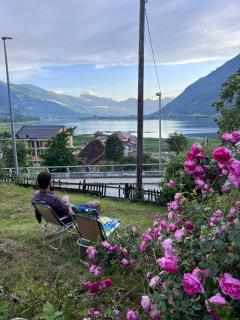 Bear Hug Lodge - Plav - 0