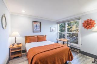 Mountainside Inn 103 by Alpine Lodging Telluride - 7