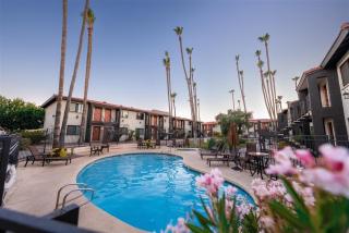108 Fully Furnished 1BR Suite-Prime Location - Scottsdale - 9