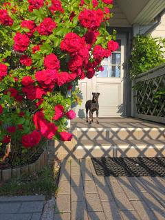 Manni Homestay - 1