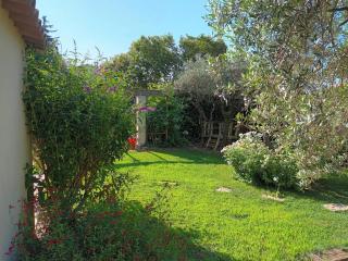 Le Cabanon - Maussane les Alpilles - 2