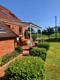 Naturparadies in Aurich - Aurich - 8