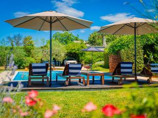 Villa Benka, Istrian stone house - Tinjan - 0