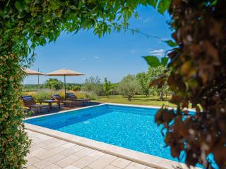 Villa Benka, Istrian stone house - Tinjan - 6