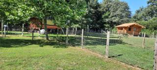 Chalet du trappeur - 1