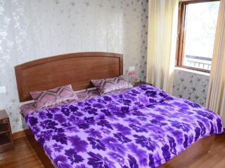Bhandari Homestay and Restaurant - Mussoorie - 6