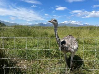 Lurach House - Ukc6791 - Port Appin - 8