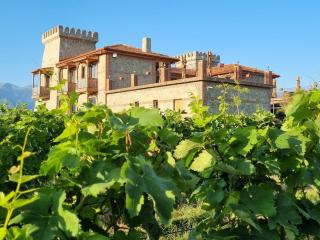 Château Davitiani - Shilda - 5