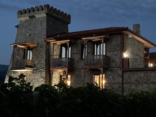 Château Davitiani - Shilda - 2