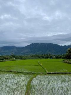 Yasuragi Boutique Resort - 1