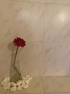 Mini Beach House - 6