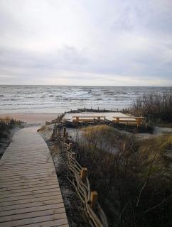 Dobilas ir jura - Palanga - 2