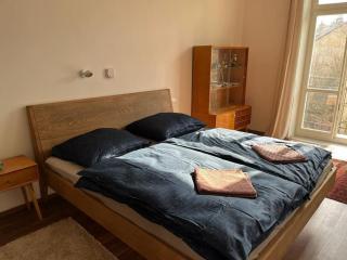 Mama's apartment in Letna - Praga - 4