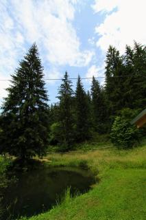 Hrystyna - Yablunytsya - 1