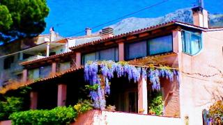 The Secret Garden Maratea - Casa di Elena - Maratea - 4