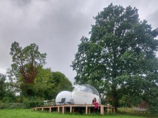 Sleep in a bubble - Wanze - 9