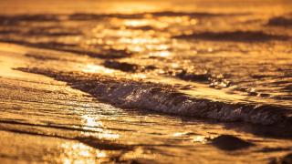 Mieszkanie Sea Waves - 1