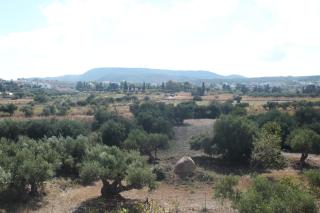 Theofilos Appartements - Livadi - 9
