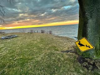Lakefront Home w/Brilliant Views - Wilson - 7