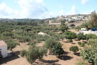 Theofilos Appartements - Livadi - 7
