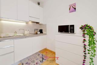 Violet Suite 5 Lugano City for 3 Guest -By EasyLife Swiss - 5