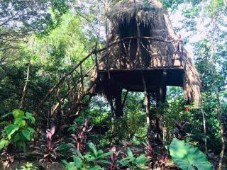 Sanctuaria Treehouses Busuanga - 7