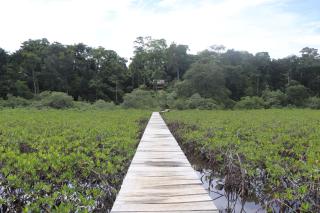 Konsenda Bocas del Toro - Bocas del Toro - 7