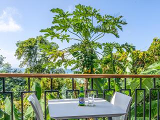 Maison D'Aaryan - Anse aux Pins - 4