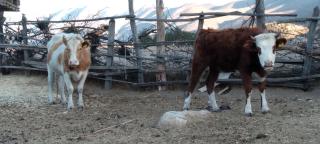 Alojamiento Rural Polita, Agroturismo y Patrimonial - 7