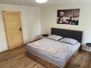 Apartmány ČERNÝ KOHOUT - 5