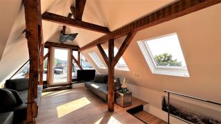 Historical Luxury Homes - Exclusive Selection - Friburgo em Brisgóvia - 1